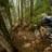 Mountain_Biker