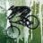 Trailfrog