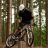 _shred_