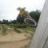 downhill-dirter