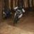 reker007