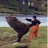 Eule-