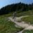 trailbunny