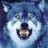 Werwolf13