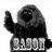 Sason