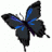 Mariposa