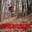 FreerideDD