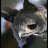 Strive_ESX