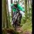woodpecker_318