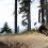 marcfreeride