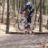 Arne_buecher