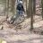 Tim_Sauer