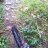 elbarto_xt