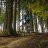 needtoride