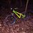 trailfox99