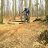 BorsBiker