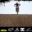mx244rider