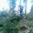 feind84