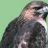 Hawkpower