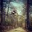 MAX___57
