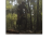Fliegerberg_24