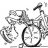 Radfahrer24