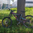 bjoern_b