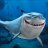 sharky