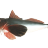 Knurrhahn