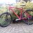 Janne_raul