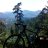 The_Ridge