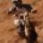 Philiper