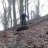 zwillingsbike