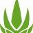 Aloavera