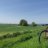 Henk_R