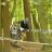 henni_freeride