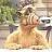 alf2