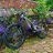 noahoncommencal