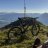 frogbite
